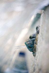 up close photo of water feature