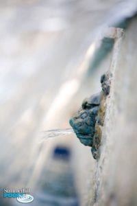 up close image of a pool water sconce