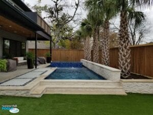 small pool with blue tile raised spa and palm trees